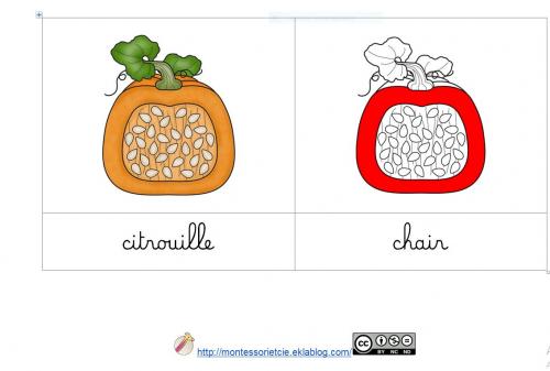 [Nomenclature] Citrouille