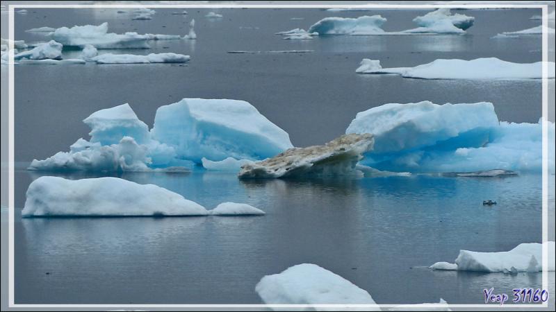 Derniers émerveillements dans la Mer des Tchouktches - Alaska
