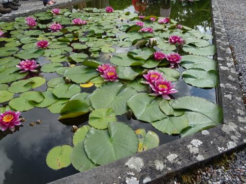 "Baladouce" - Mardi 22 mai 2018