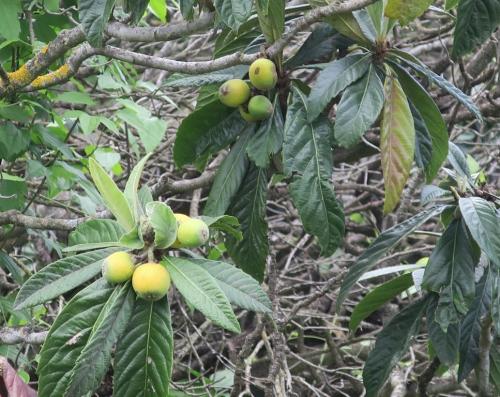 Randonnée "Au fil de l'eau" à NERS