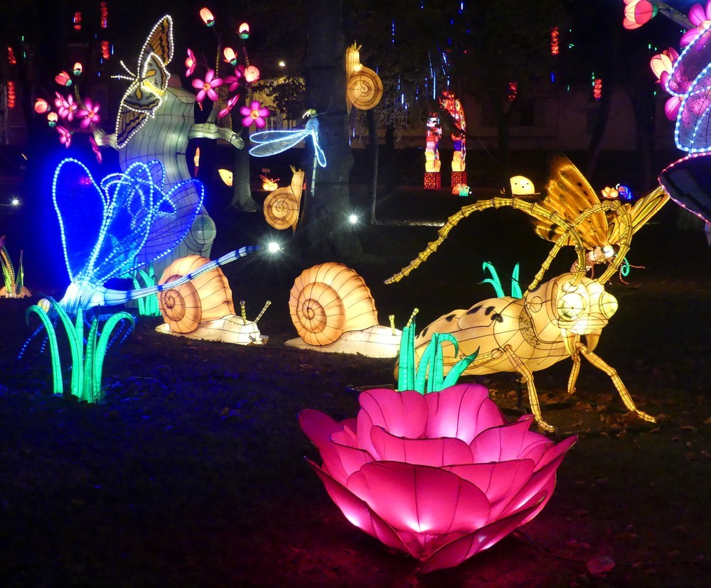 Des insectes fabuleux au Festival des Lanternes Chinoises à Gaillac...