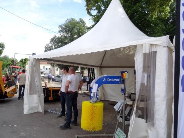 Les Journées Châtillonnaises 2015