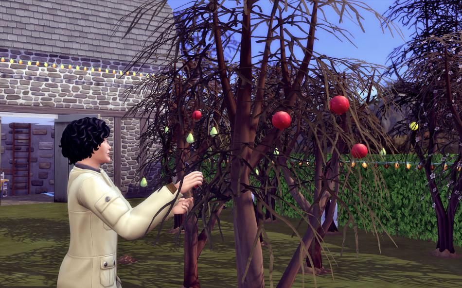 [CALF] Huver 3 - Semaine 15 - Jours 104 à 107