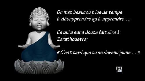 C'est tard que tu es devenu jeune