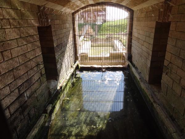 Visite du château de Maulnes, avec la Société Archéologique et Historique du Châtillonnais...