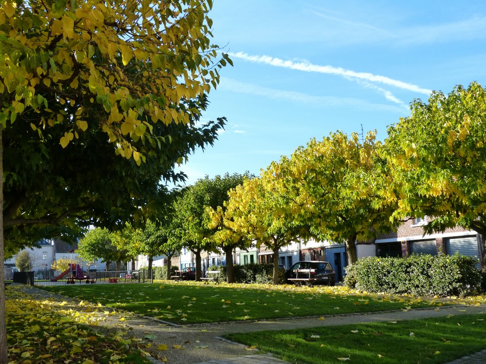 Promenade au Quartier Saint-Leu