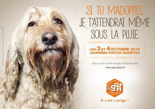 A vos agendas ...