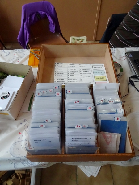 Le congrès National de Mycologie s'est poursuivi par des conférences...