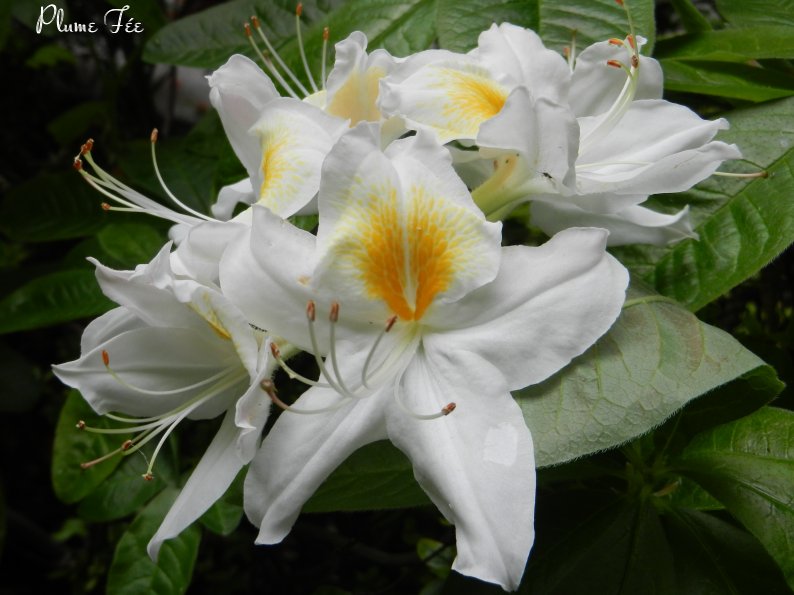 Image009.jpg