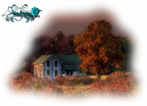 Tubes Fleurs et Paysages