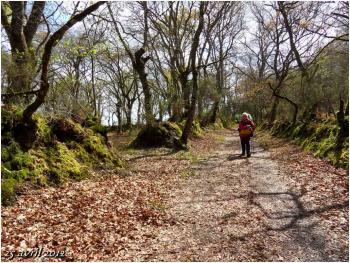 (J21) Lugo / San Roman da Roterta 25 avril 2012