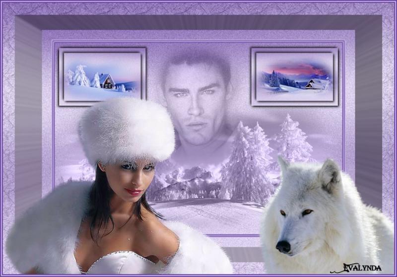 Douceur d'Hiver