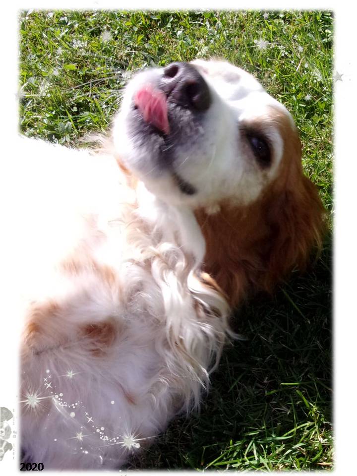 Séance photo pour la miss Emy