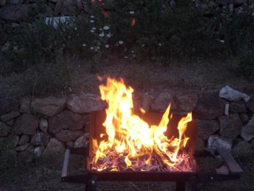 Stéphane B.- les émanants