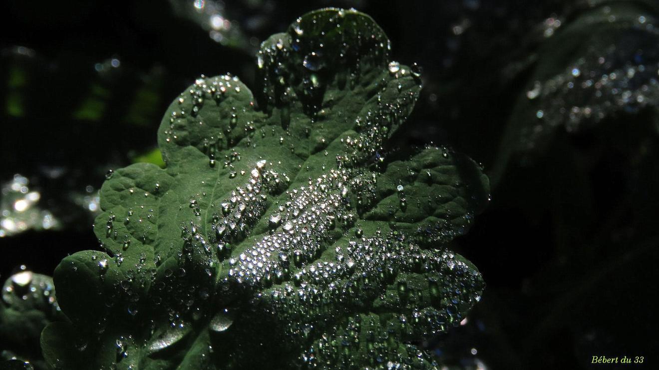 mes photos plaisir d'Octobre 