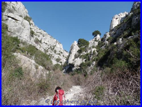 Le vallat des Brayes