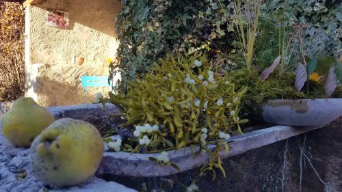 La ronde des crêtes