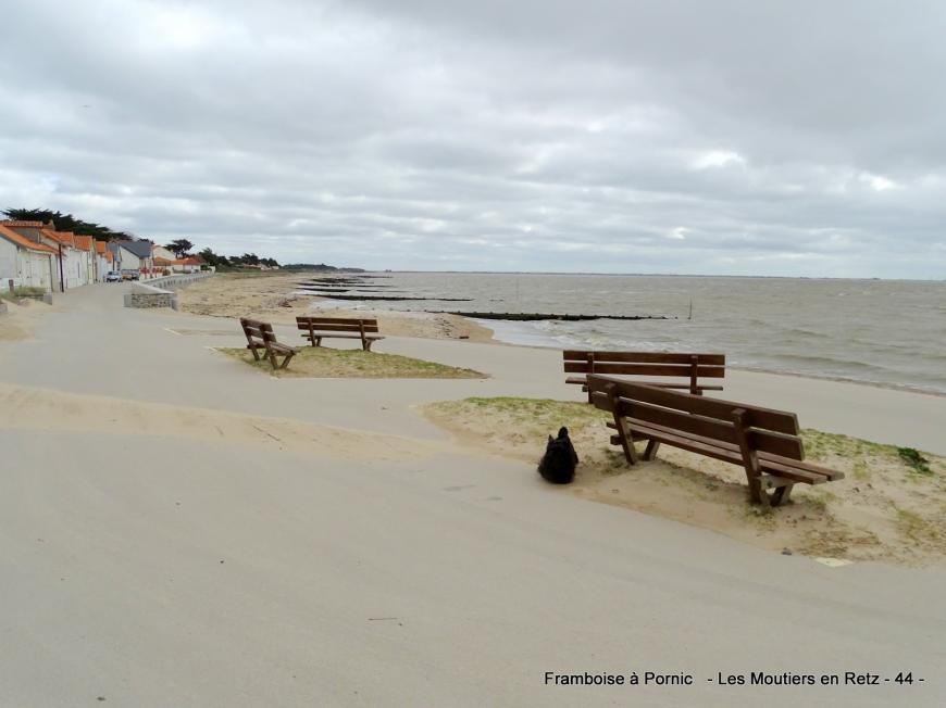 Petite balade sur le littoral aux Moutiers en retz 