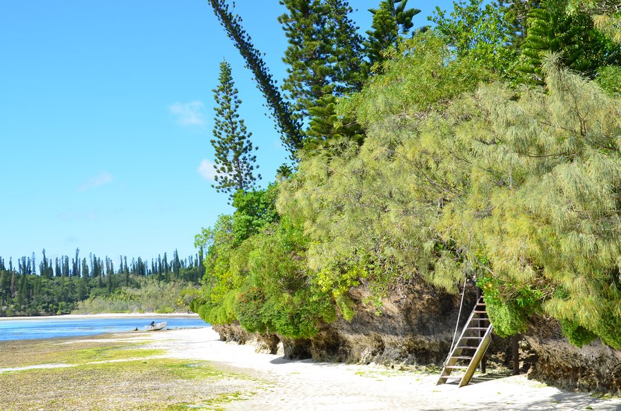 ile des pins caledonie ile loyaute schnoebelen