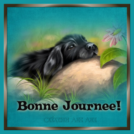 ATC "animaux domestiques" ou lettre "K"