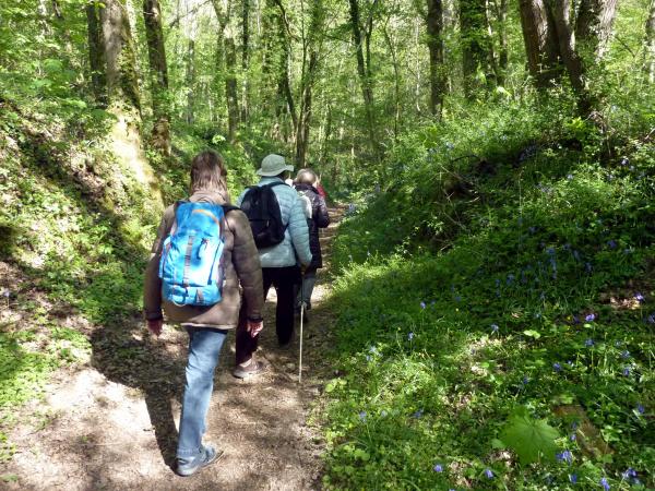 Symphonie en bleu et jaune avec Générations 13