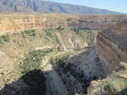 Biskra: au pays de "deglet nour"