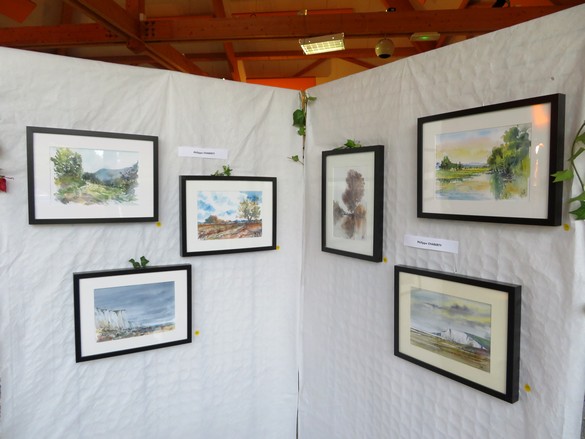 Au Salon d'Automne de Chamesson en 2024, 35 peintres ont présenté 165 tableaux, tous plus beaux les uns que les autres !