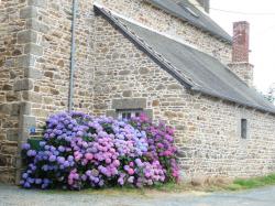 La Bretagne ça vous gagne ...