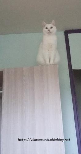 Il faut inaugurer et tester