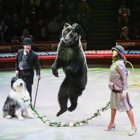Le cirque