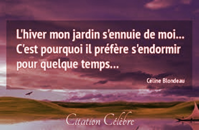 Gelée ...