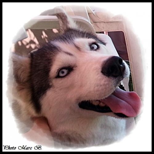 Priska (3 ans)
