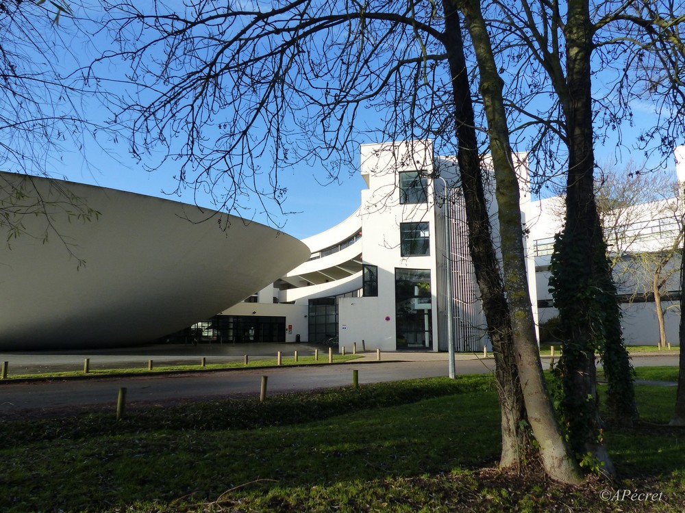 Une ville verte en hiver