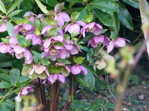 Retour sur mars 2016