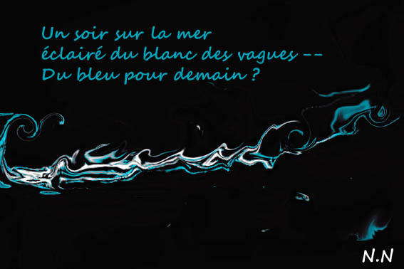 ob_0b0948_en-bleu-et-noir.jpg