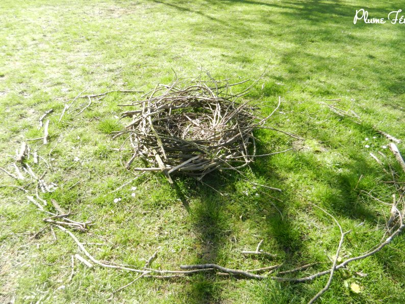 Image011.jpg
