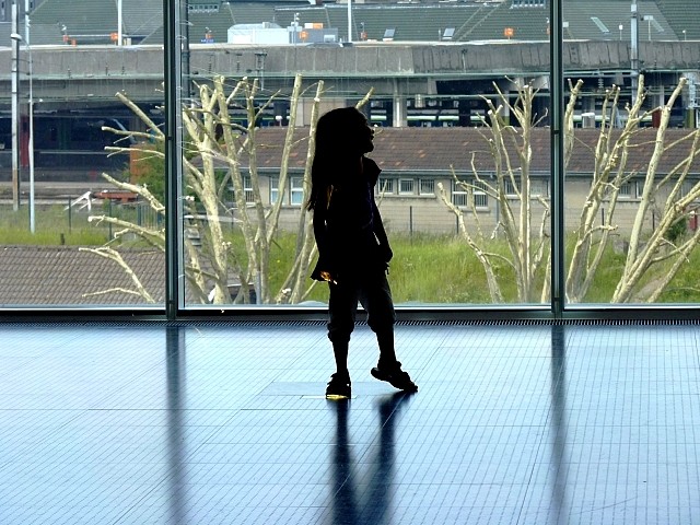 Galeries du Centre Pompidou-Metz 15 Marc de Metz 29 02 2013