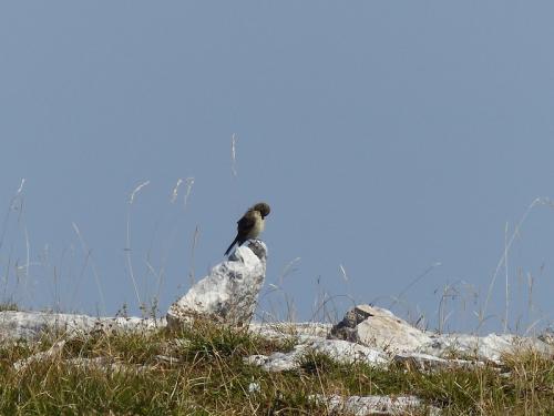 Le Sentier du Karst (Vercors Dromois)