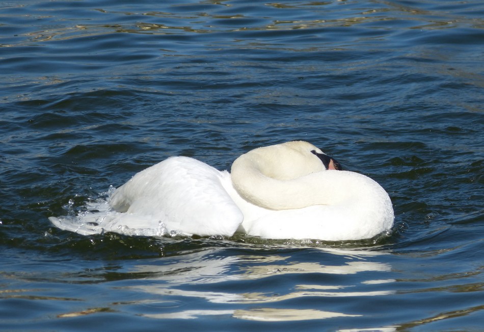 Cétait hier ... au parc. 