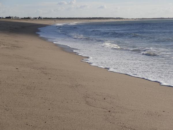 Les vagues de la mer