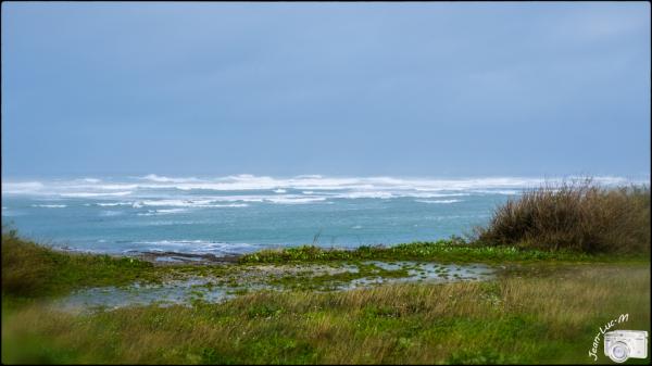 Avis de Tempête !