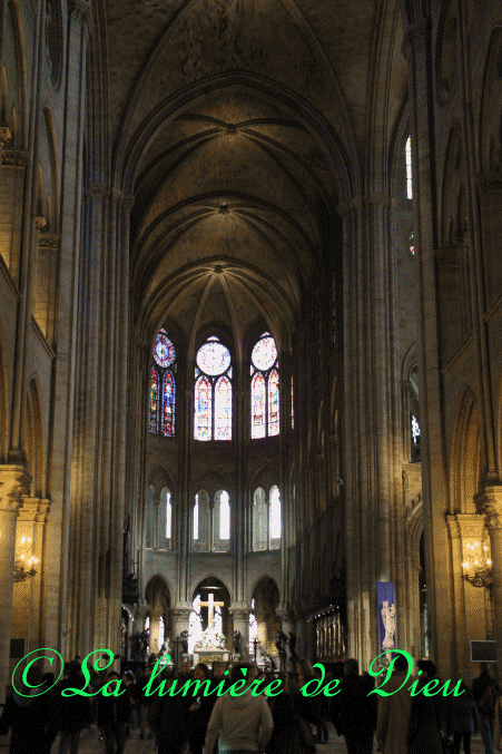 La cathédrale Notre-Dame de Paris