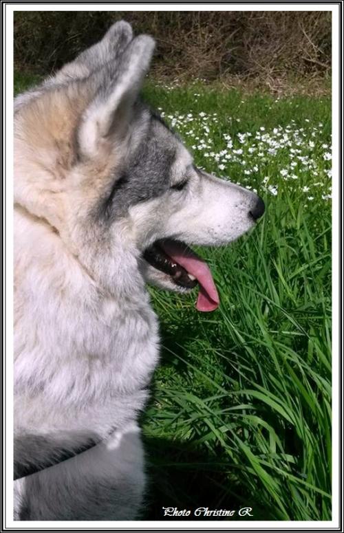 Photos de vacances 4