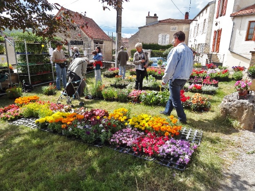 Foire aux graines