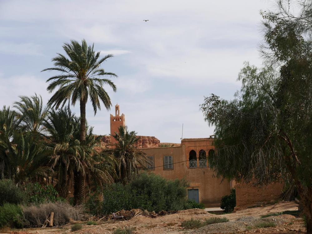 Oasis du Tafilalet
