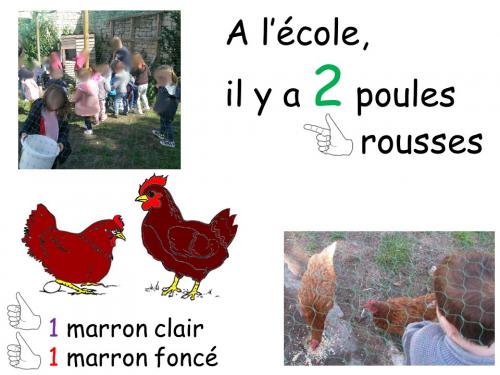 Les petites histoires à compter