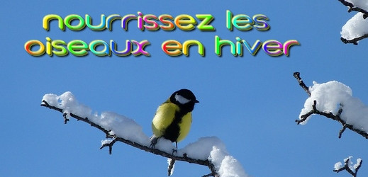 CITATIONS   21/01/2017
