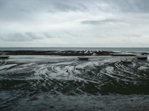 DSC00432.JPG