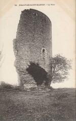 LES REMPARTS DE NEAUFLES-SAINT-MARTIN (Eure)
