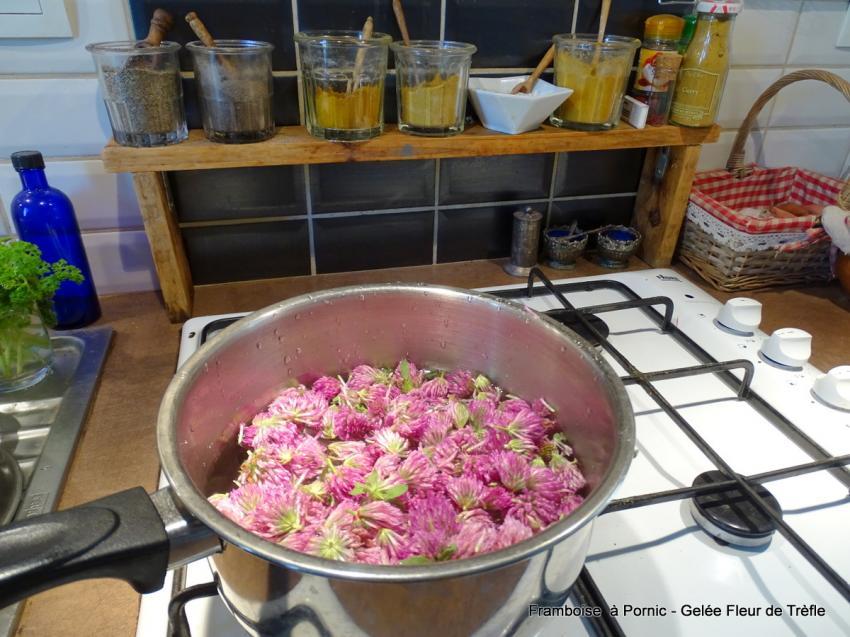 Gelée Fleurs de trèfle